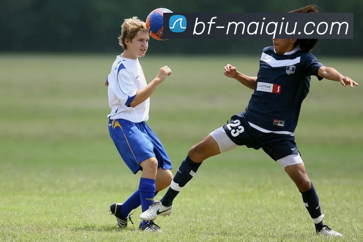 体育投注平台发展历程